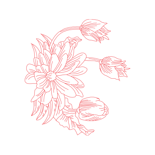 Drawing Animals Drawing Animals