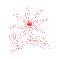 Drawing Animals Drawing Animals