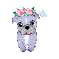 Drawing Animals Drawing Animals