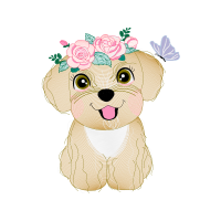 Drawing Animals Drawing Animals