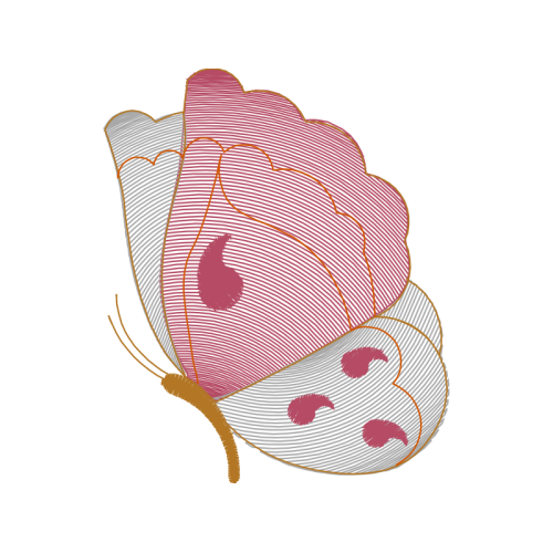 Drawing Animals Drawing Animals