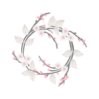 Drawing Animals Drawing Animals