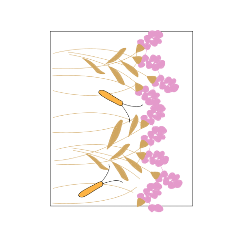 Drawing Animals Drawing Animals