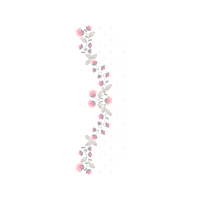 Drawing Animals Drawing Animals