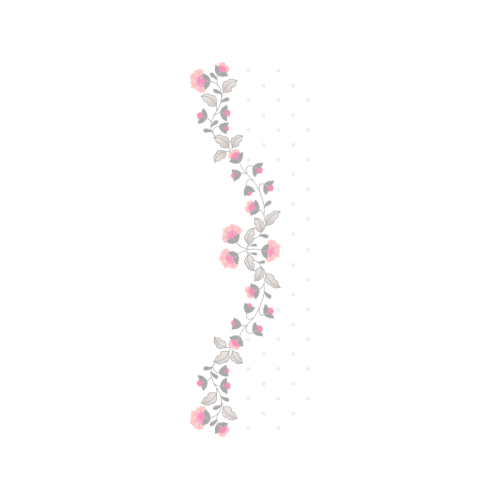 Drawing Animals Drawing Animals