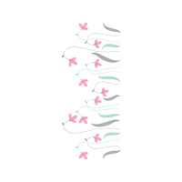 Drawing Animals Drawing Animals