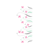 Drawing Animals Drawing Animals