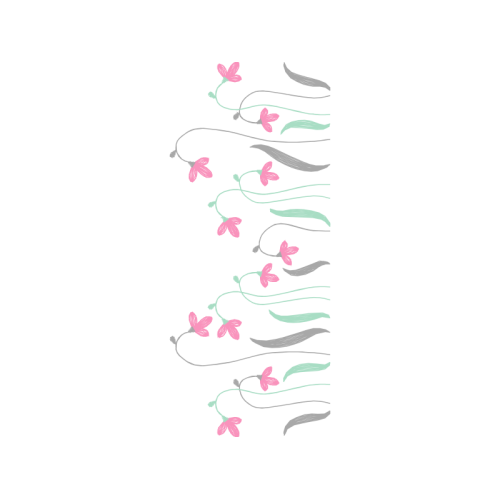 Drawing Animals Drawing Animals