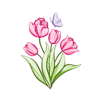 Drawing Animals Drawing Animals