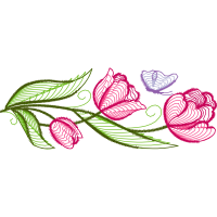 Drawing Animals Drawing Animals