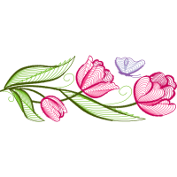 Drawing Animals Drawing Animals