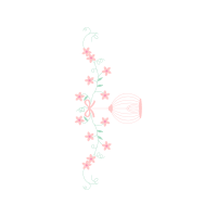 Drawing Animals Drawing Animals