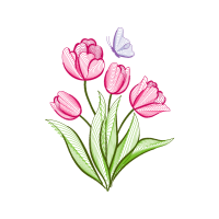 Drawing Animals Drawing Animals