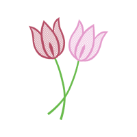 Drawing Animals Drawing Animals