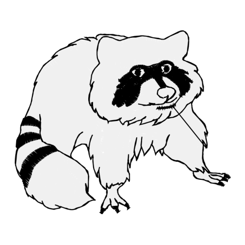 Drawing Animals Drawing Animals