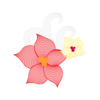 Drawing Animals Drawing Animals