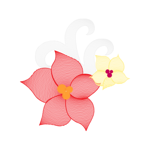 Drawing Animals Drawing Animals