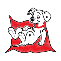 Drawing Animals Drawing Animals