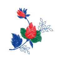 Drawing Animals Drawing Animals