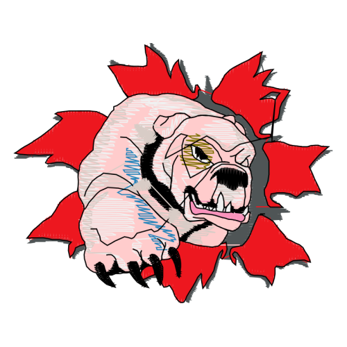 Drawing Animals Drawing Animals