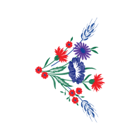 Drawing Animals Drawing Animals