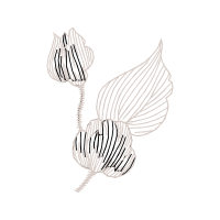 Drawing Animals Drawing Animals