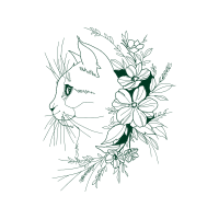 Drawing Animals Drawing Animals