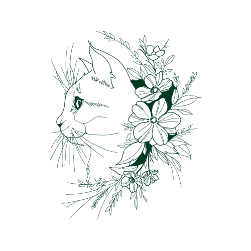 Drawing Animals Drawing Animals