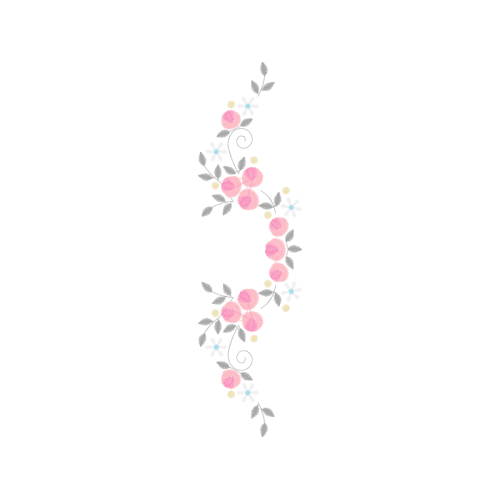 Drawing Animals Drawing Animals