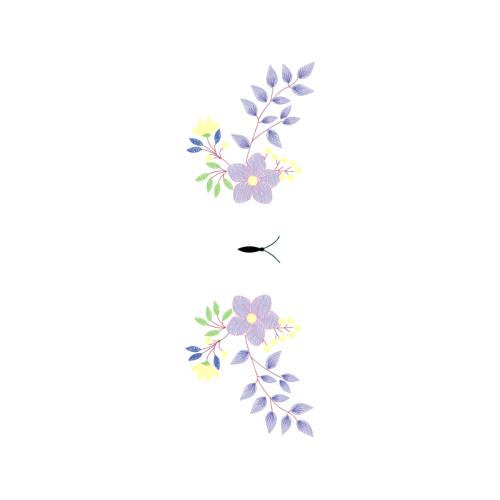 Drawing Animals Drawing Animals