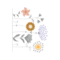 Drawing Animals Drawing Animals