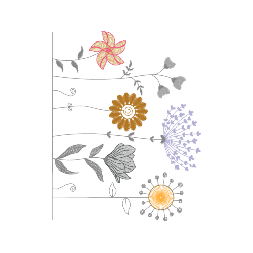 Drawing Animals Drawing Animals