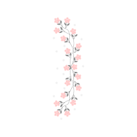 Drawing Animals Drawing Animals