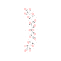 Drawing Animals Drawing Animals