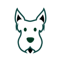 Drawing Animals Drawing Animals