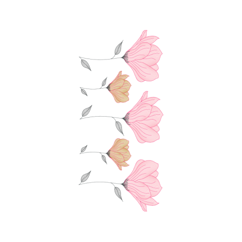 Drawing Animals Drawing Animals