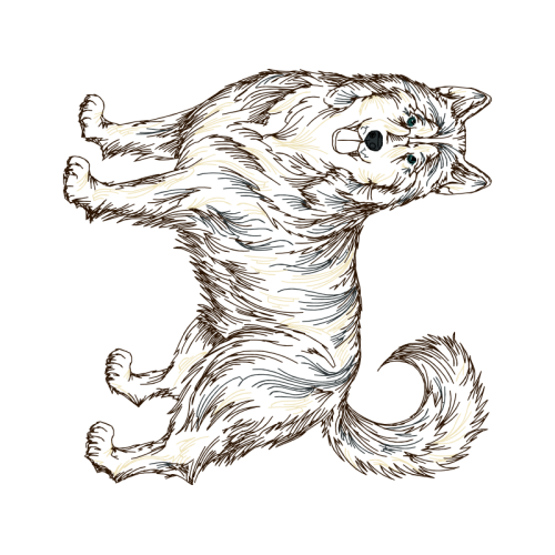 Drawing Animals Drawing Animals