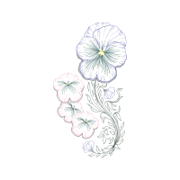 Drawing Animals Drawing Animals