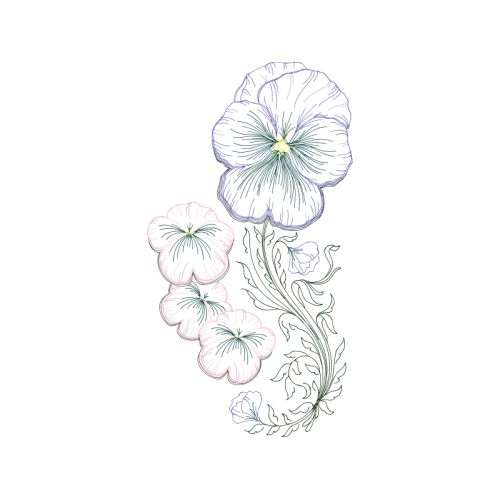 Drawing Animals Drawing Animals