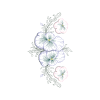 Drawing Animals Drawing Animals