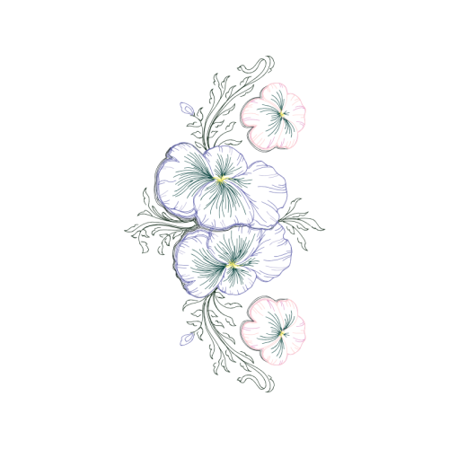 Drawing Animals Drawing Animals