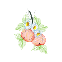 Drawing Animals Drawing Animals