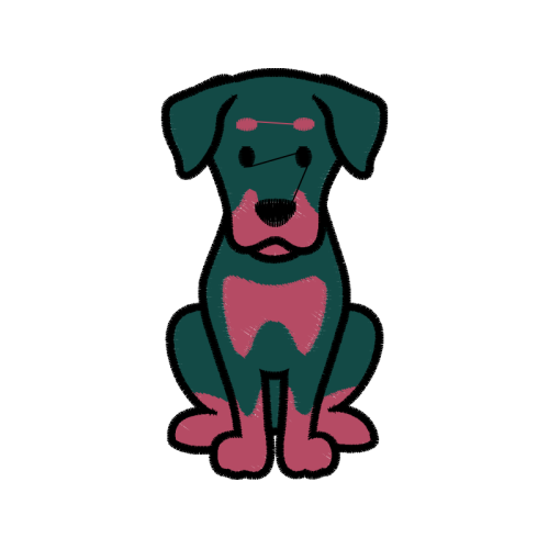 Drawing Animals Drawing Animals