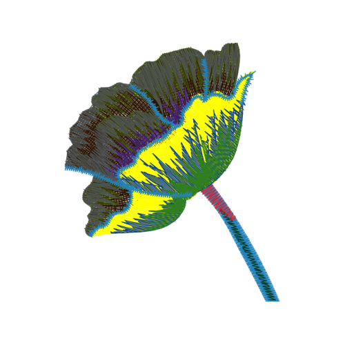 Drawing Animals Drawing Animals