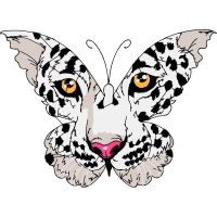 Drawing Animals Drawing Animals