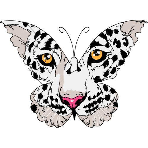 Drawing Animals Drawing Animals