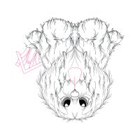 Drawing Animals Drawing Animals