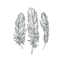 Dreamcatcher Animals