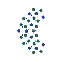 Earring Animals Earring Animals