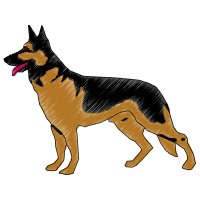 East European Shepherd Animals